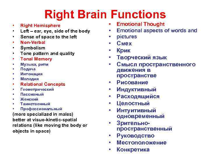 Right Brain Functions • • Right Hemisphere Left – ear, eye, side of the
