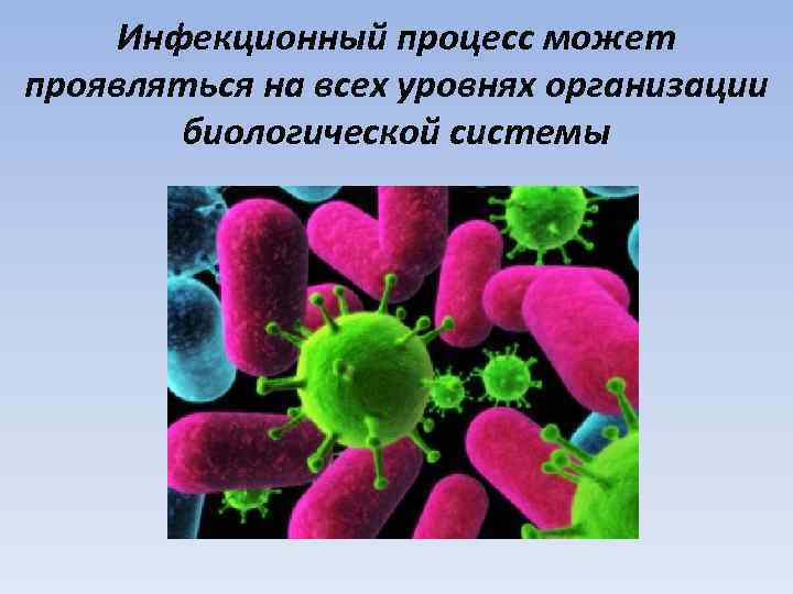Инфекционный процесс может проявляться на всех уровнях организации биологической системы 