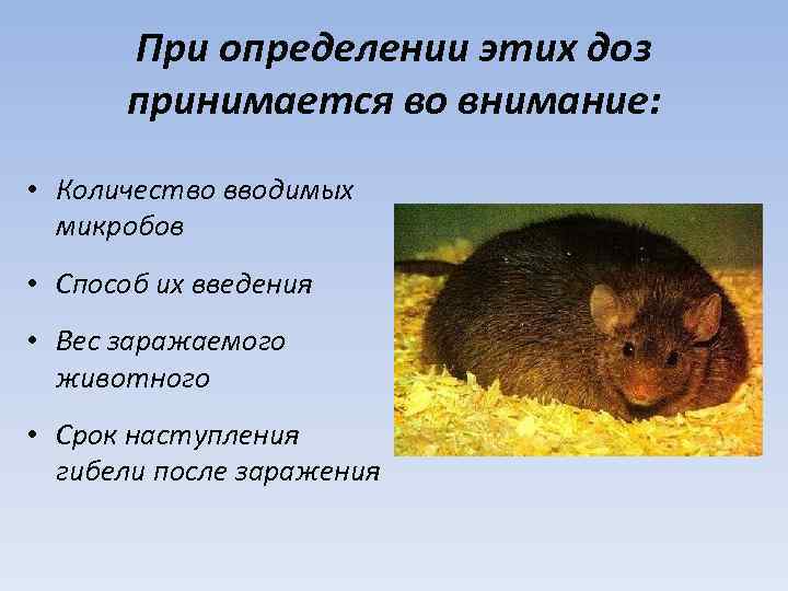 При определении этих доз принимается во внимание: • Количество вводимых микробов • Способ их