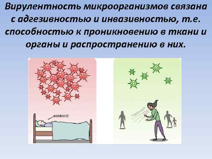 Вирулентность микроорганизмов связана с адгезивностью и инвазивностью, т. е. способностью к проникновению в ткани