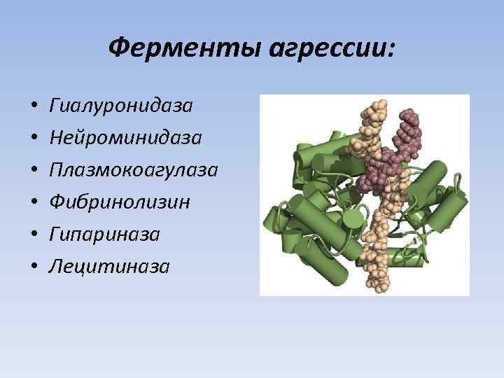 Ферменты агрессии: • • • Гиалуронидаза Нейроминидаза Плазмокоагулаза Фибринолизин Гипариназа Лецитиназа 