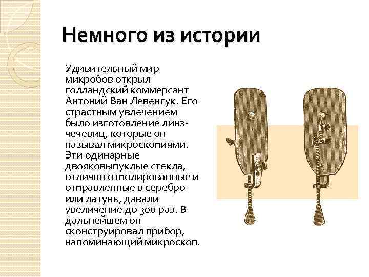 Немного из истории Удивительный мир микробов открыл голландский коммерсант Антоний Ван Левенгук. Его страстным