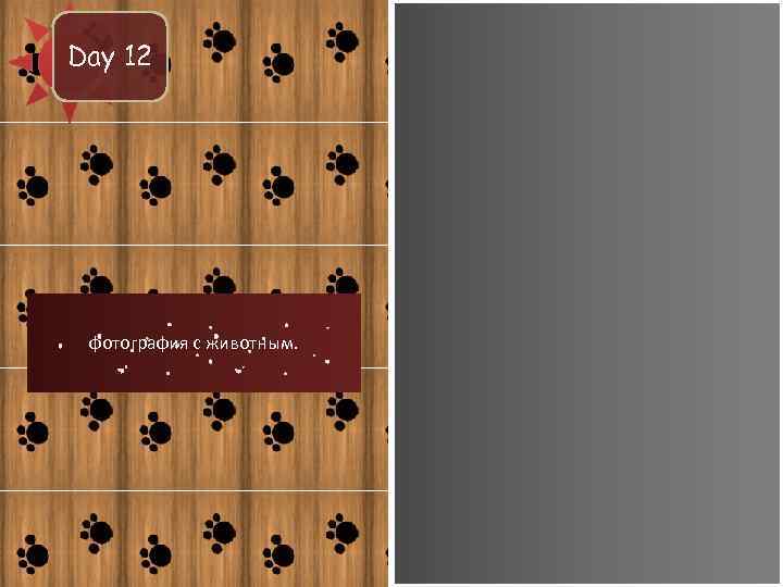Day 12 фотография с животным. 