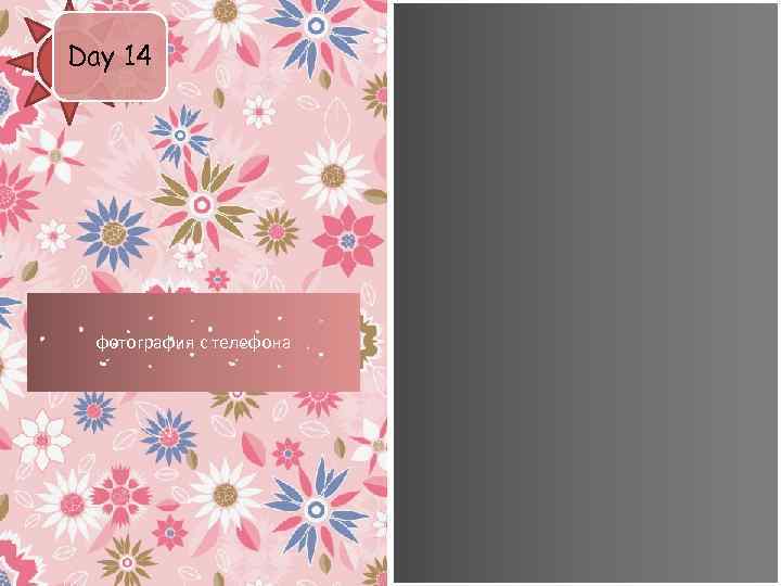 Day 14 фотография с телефона 