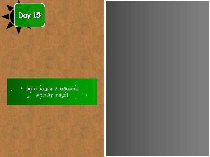 Day 15 фотография с рабочего места(универ) 