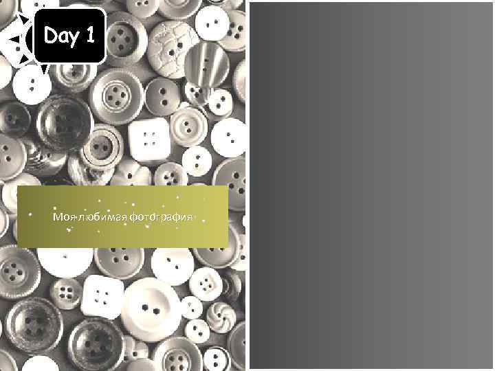 Day 1 Моя любимая фотография 