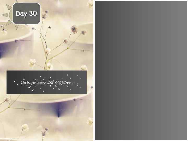 Day 30 сегодняшняя фотография. 