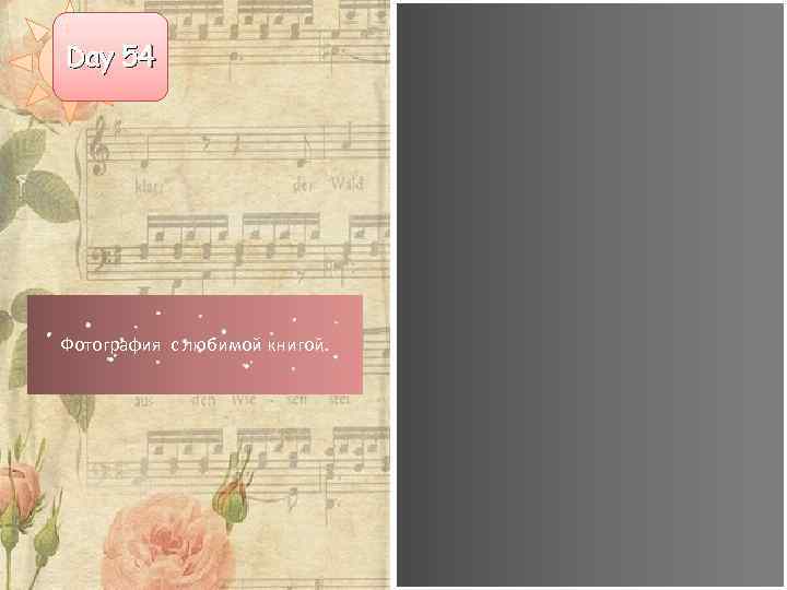 Day 54 Фотография с любимой книгой. 