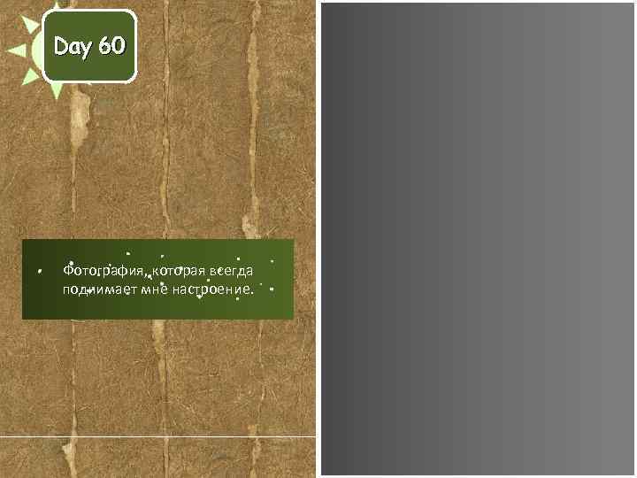 Day 60 Фотография, которая всегда поднимает мне настроение. 