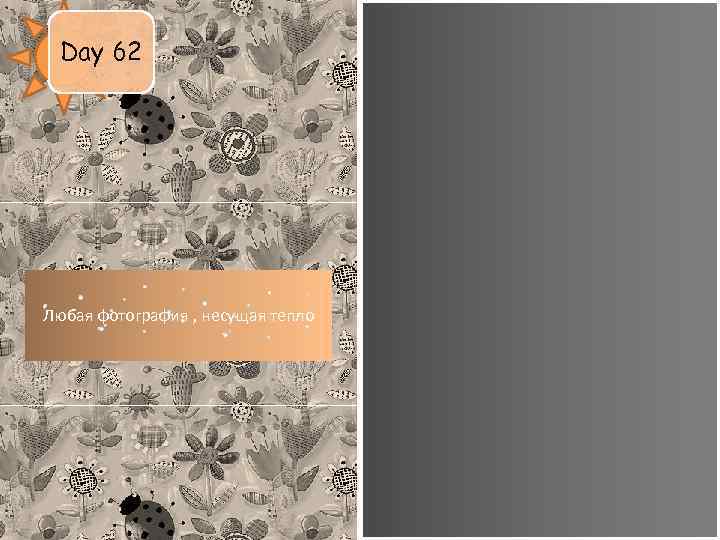 Day 62 Любая фотография , несущая тепло 