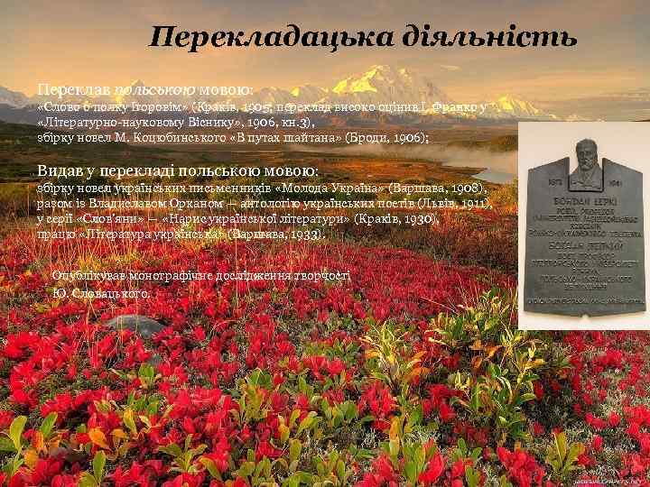 Перекладацька діяльність Переклав польською мовою: «Слово о полку Ігоровім» (Краків, 1905; переклад високо оцінив