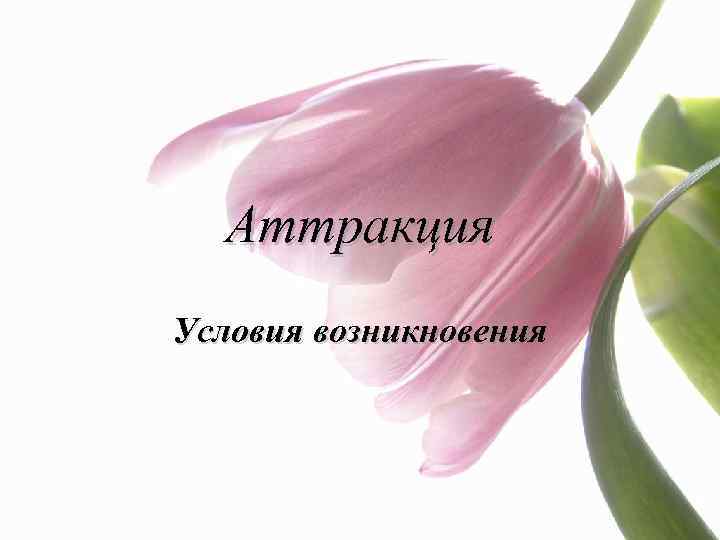 Аттракция Условия возникновения 