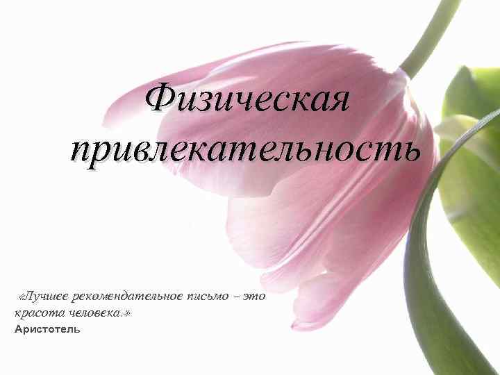 Физическая привлекательность «Лучшее рекомендательное письмо – это красота человека. » Аристотель 