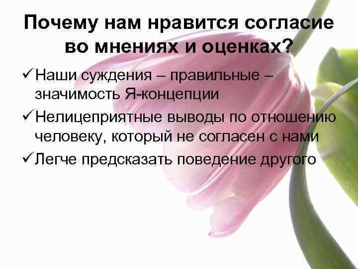 Почему нам нравится согласие во мнениях и оценках? ü Наши суждения – правильные –