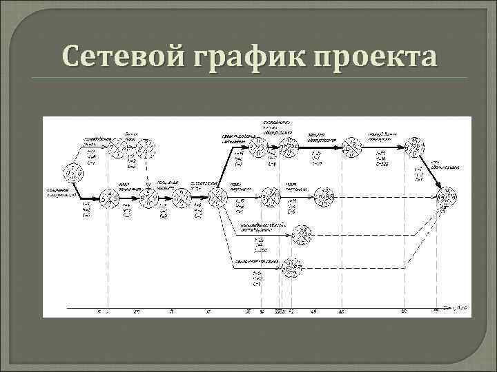 Сетевой график проекта 