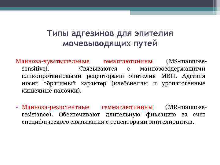 Типы адгезинов для эпителия мочевыводящих путей Манноза-чувствительные гемагглютинины (MS-mannosesensitive). Связываются с маннозосодержащими гликопротеиновыми рецепторами