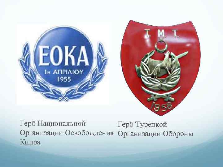 Герб Национальной Герб Турецкой Организации Освобождения Организации Обороны Кипра 