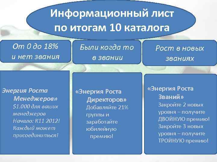 Информационный лист по итогам 10 каталога От 0 до 18% и нет звания Энергия