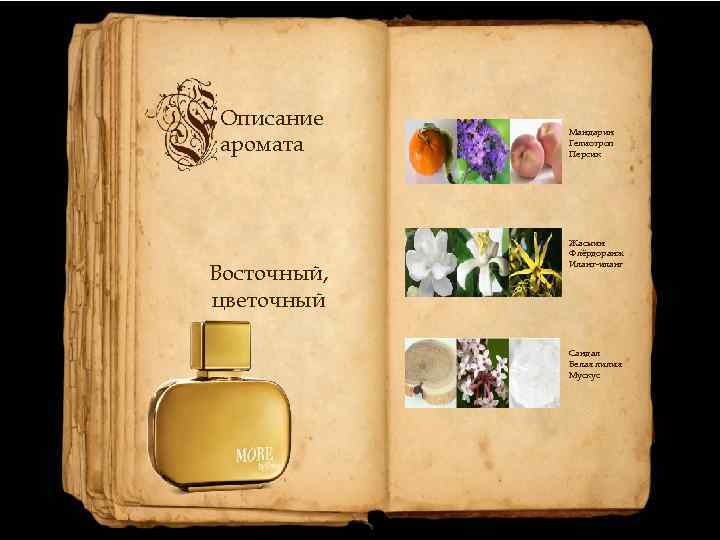 Описание аромата Восточный, цветочный Мандарин Гелиотроп Персик Жасмин Флёрдоранж Иланг-иланг Сандал Белая лилия Мускус