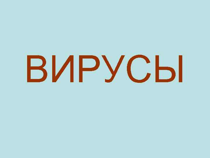 ВИРУСЫ 