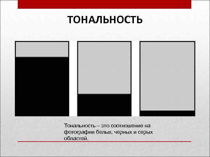 ТОНАЛЬНОСТЬ Тональность – это соотношение на фотографии белых, черных и серых областей. 
