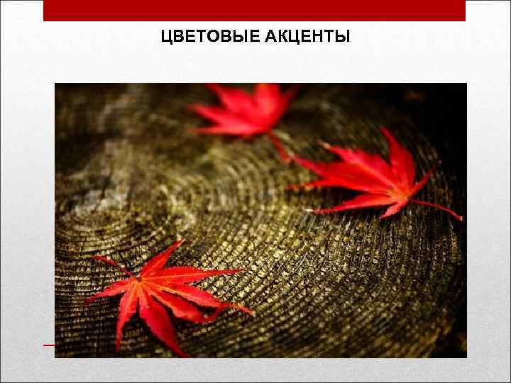 ЦВЕТОВЫЕ АКЦЕНТЫ 