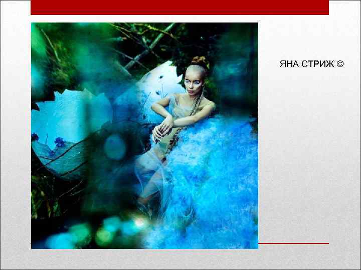 ЯНА СТРИЖ © 