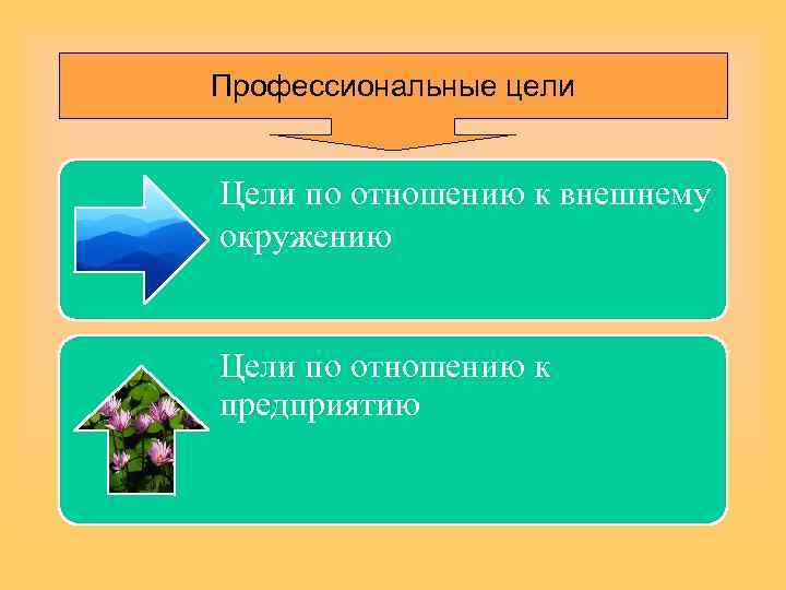 Профессиональные цели Цели по отношению к внешнему окружению Цели по отношению к предприятию 