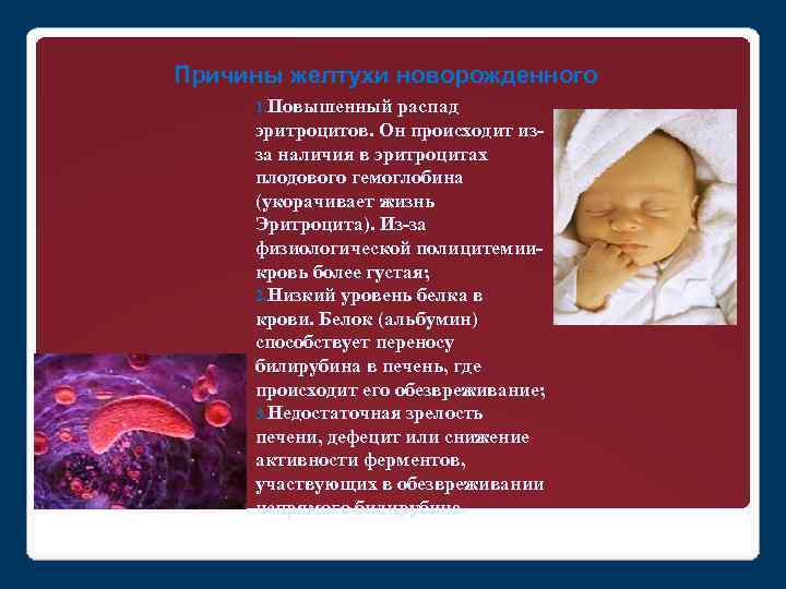 Причины желтухи новорожденного 1. Повышенный распад эритроцитов. Он происходит из- за наличия в эритроцитах