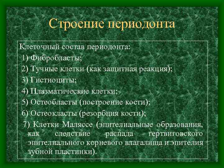 Строение периодонта Клеточный состав периодонта: 1) Фибробласты; 2) Тучные клетки (как защитная реакция); 3)