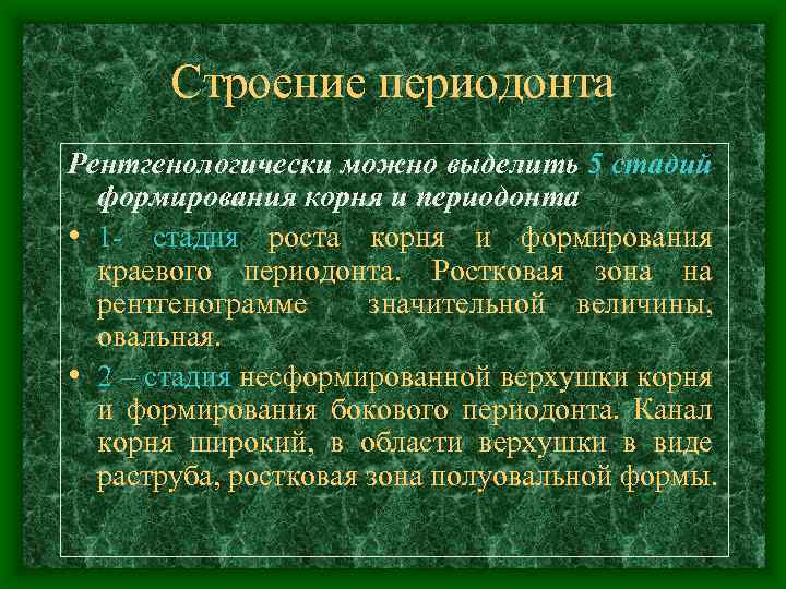 Строение периодонта Рентгенологически можно выделить 5 стадий формирования корня и периодонта • 1 -