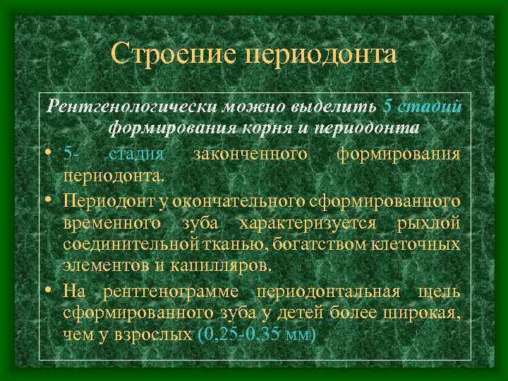 Строение периодонта Рентгенологически можно выделить 5 стадий формирования корня и периодонта • 5 -