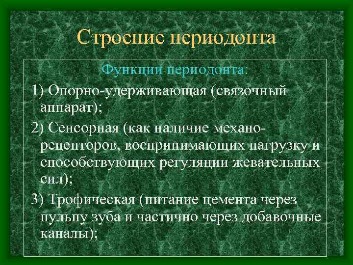 Строение периодонта Функции периодонта: 1) Опорно-удерживающая (связочный аппарат); 2) Сенсорная (как наличие механорецепторов, воспринимающих