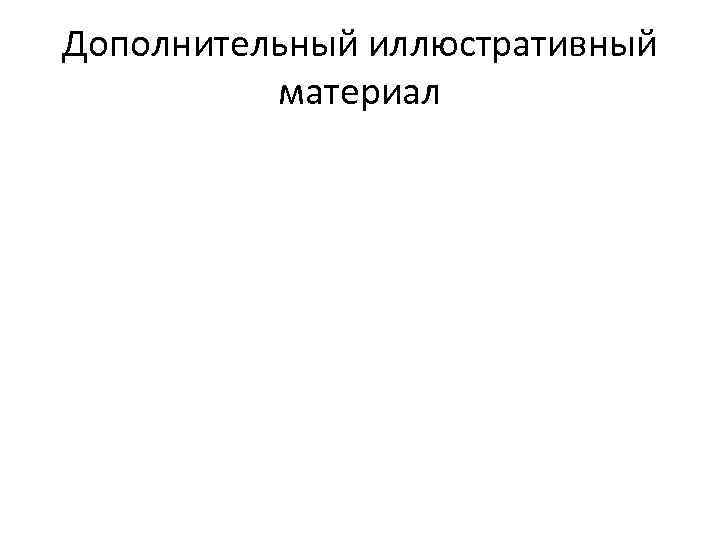 Дополнительный иллюстративный материал 