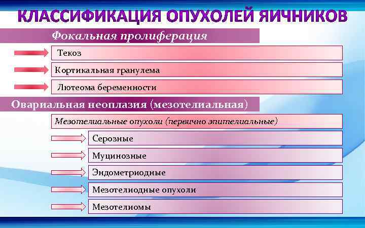 Фокальная пролиферация Текоз Кортикальная гранулема Лютеома беременности Овариальная неоплазия (мезотелиальная) Мезотелиальные опухоли (первично эпителиальные)