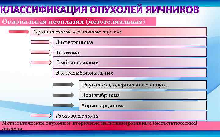 Овариальная неоплазия (мезотелиальная) Герминогенные клеточные опухоли Дисгерминома Тератома Эмбриональные Экстраэмбриональные Опухоль эндодермального синуса Полиэмбриома