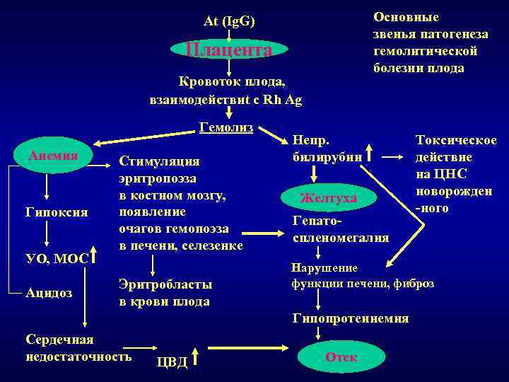 Основные звенья патогенеза гемолитической болезни плода At (Ig. G) Плацента Кровоток плода, взаимодействиt с