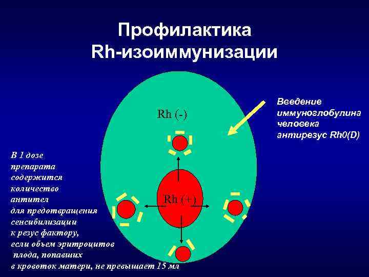 Профилактика Rh-изоиммунизации Rh (-) В 1 дозе препарата содержится количество антител Rh (+) для