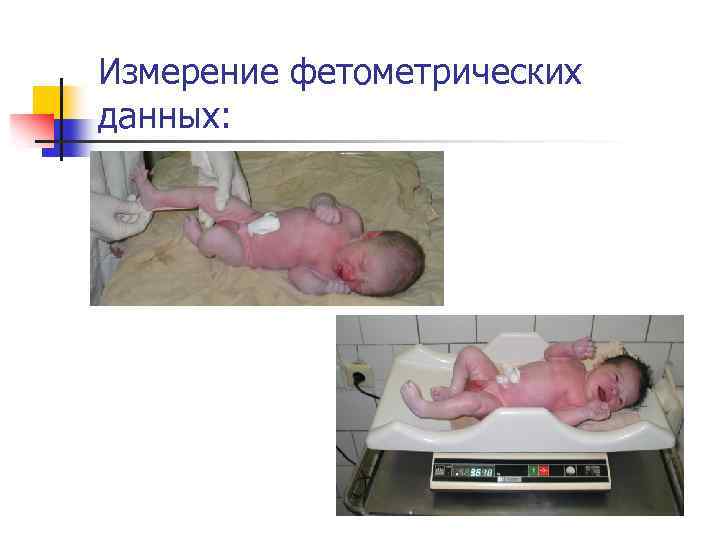 Измерение фетометрических данных: 