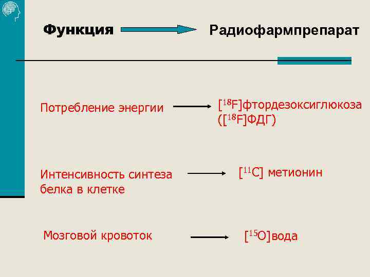 Функция Потребление энергии Интенсивность синтеза белка в клетке Мозговой кровоток Радиофармпрепарат [18 F]фтордезоксиглюкоза ([18