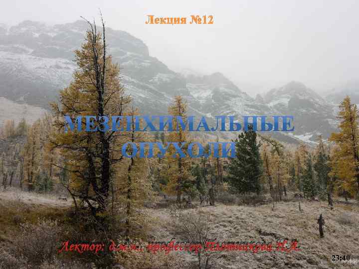 Лекция № 12 Лектор: д. м. н. , профессор Плотникова Н. А. 23: 40