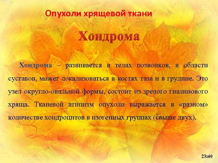 Опухоли хрящевой ткани Хондрома – развивается в телах позвонков, в области суставов, может локализоваться