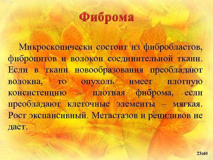 Фиброма Микроскопически состоит из фибробластов, фиброцитов и волокон соединительной ткани. Если в ткани новообразования