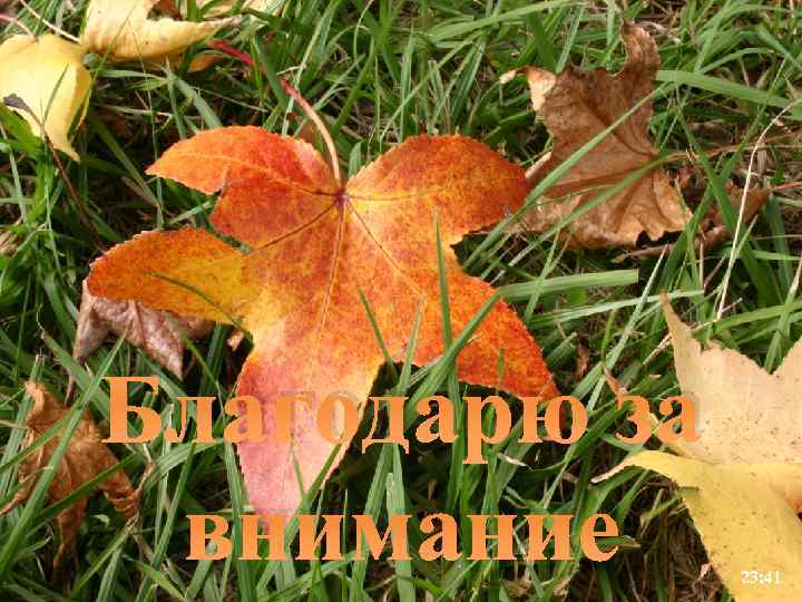 Благодарю за внимание 23: 41 