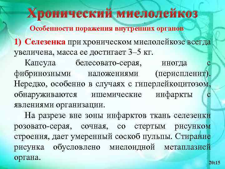 Хронический миелолейкоз Особенности поражения внутренних органов 1) Селезенка при хроническом миелолейкозе всегда увеличена, масса