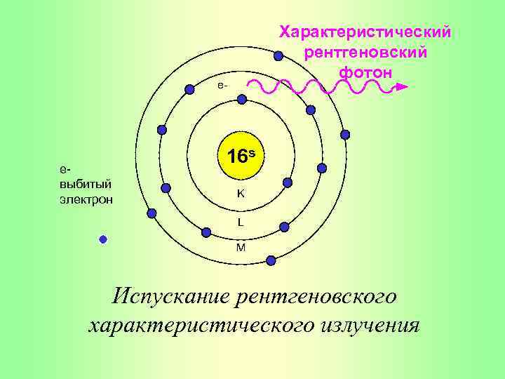 Характеристический рентгеновский фотон e- eвыбитый электрон 16 s K L M Испускание рентгеновского характеристического