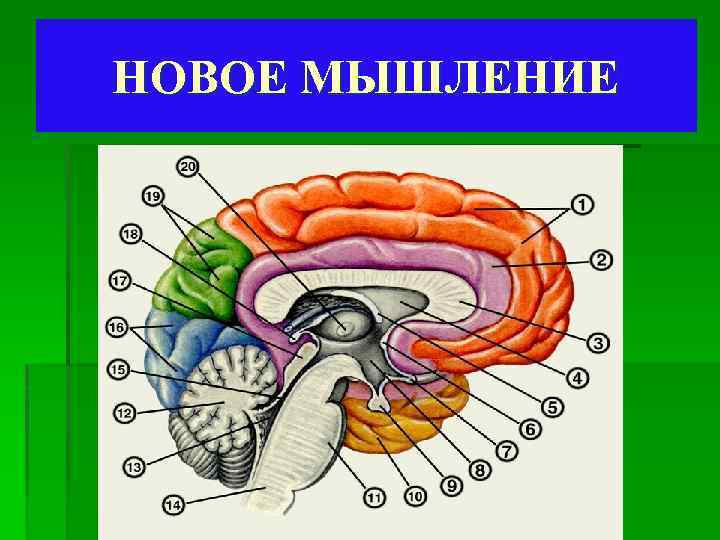 НОВОЕ МЫШЛЕНИЕ 
