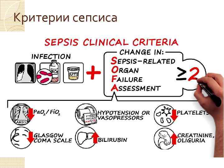 Критерии сепсиса Подозреваемая или документированная инфекция в сочетании с остро возникшей органной дисфункцией(ОД), о