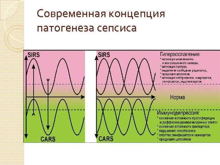 Можно ли выжить после сепсиса