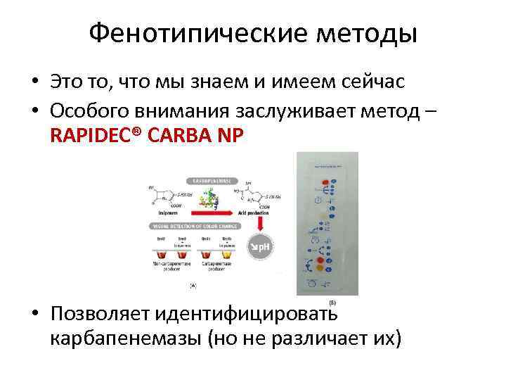 Фенотипические методы • Это то, что мы знаем и имеем сейчас • Особого внимания